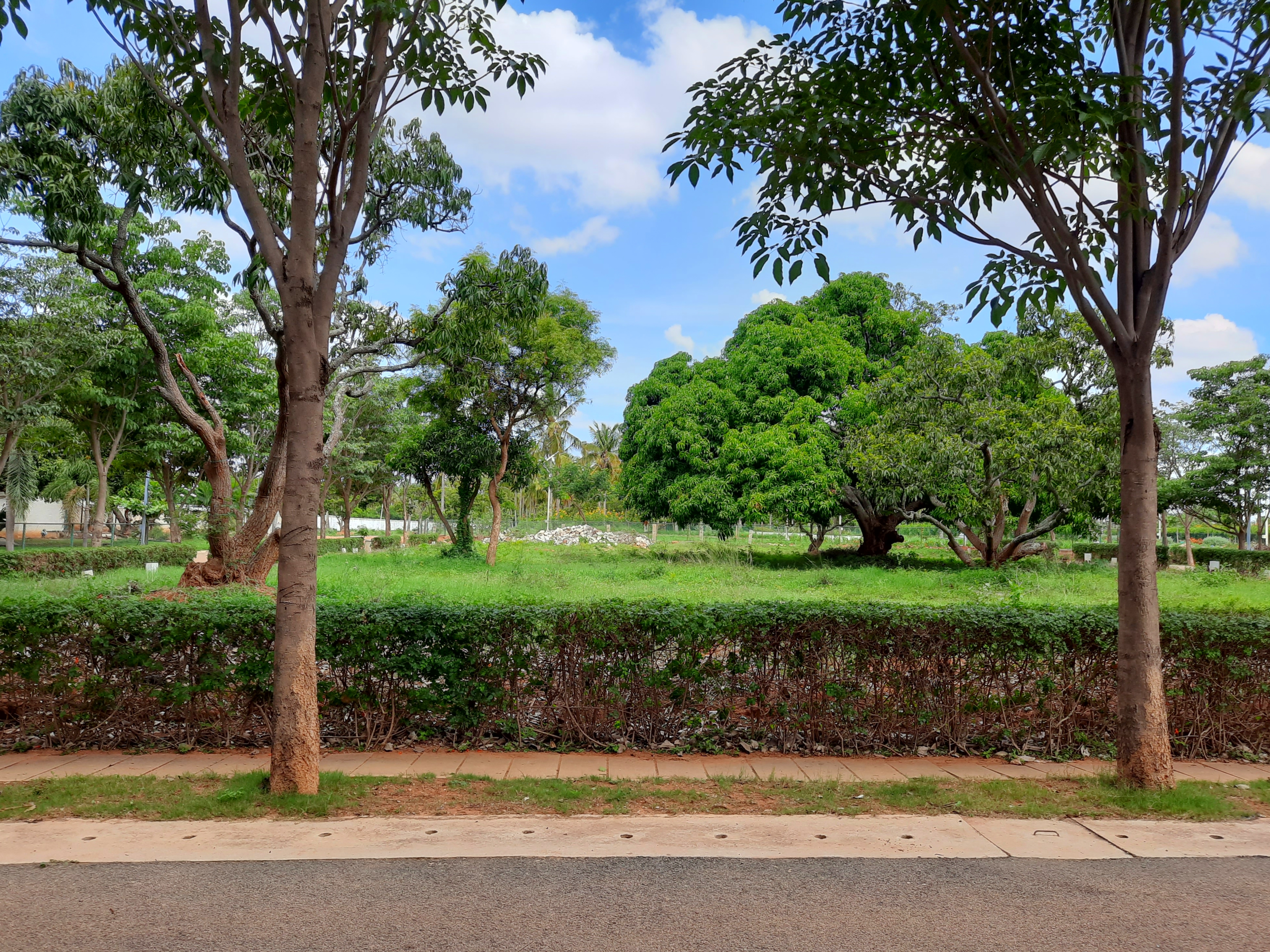 Greenfield Estates view 1