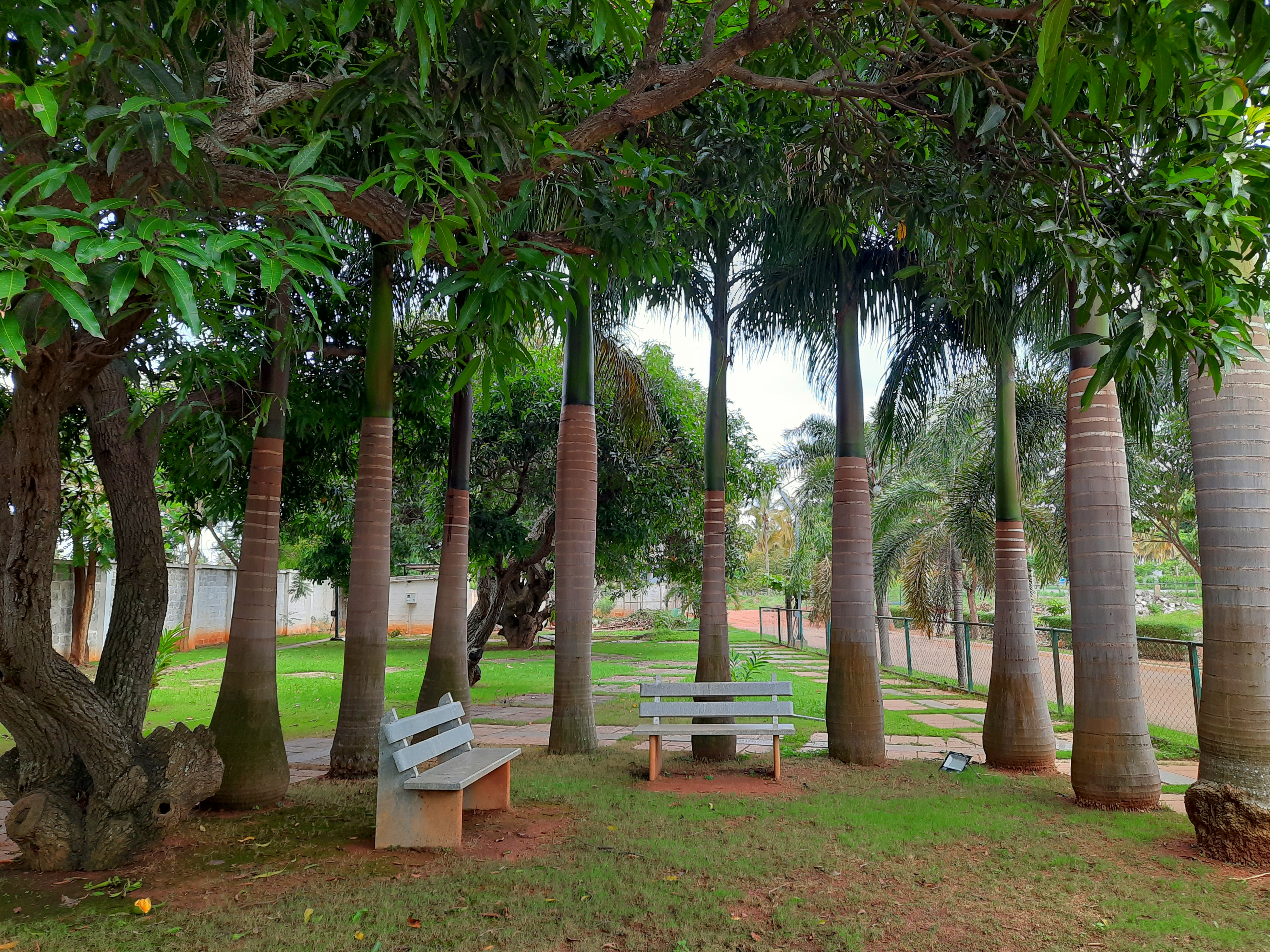 Greenfield Estates view 2
